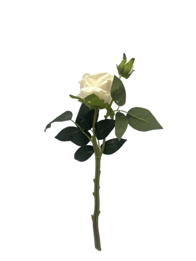 [AL33] LULE TRENDAFIL  